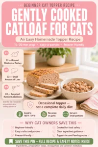 Easy Homemade Cat Food Recipes with chicken for Healthy Adult Cats