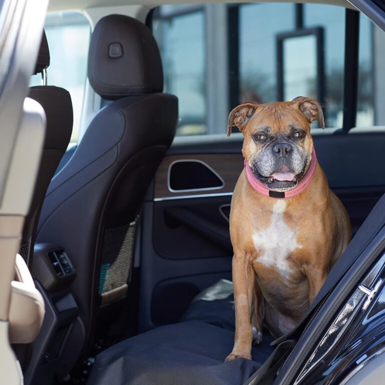 Scratch-Proof, Waterproof Dog Car Seat Cover (Amazon Basics)