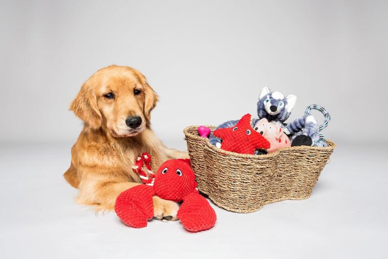 Dog Toy Basket Review: The Stylish Bone-Shaped Storage Solution Every Pet Owner Needs