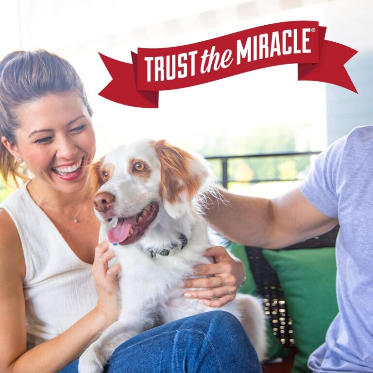 Nature’s Miracle Stain and Odor Remover Dog Review: A 32-Ounce Enzymatic Cleaner That Helps Tackle Everyday Pet Messes