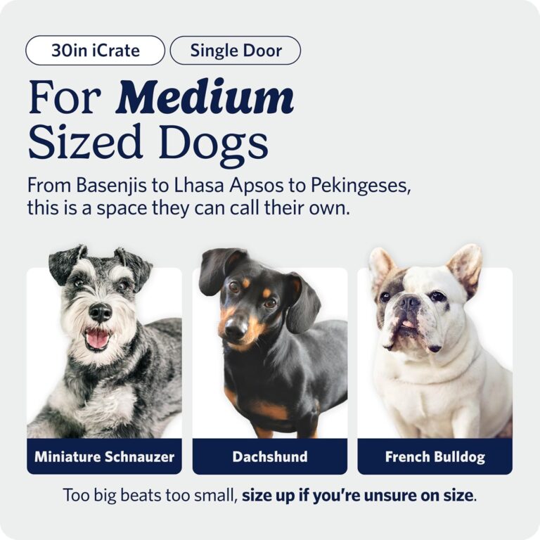 MidWest Homes for Pets iCrate Dog Crate Review: A Smart Starter Crate for Puppies?