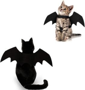 Cat Halloween Costume Bat Wing