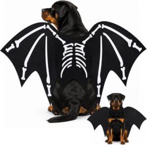 Dog Costume Glow in The Dark Black Bat Wings