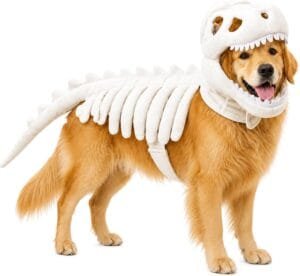 Dog Dinosaur Costume