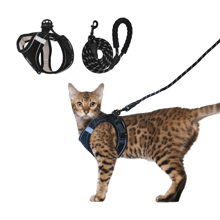 Hepper Cat Harness and Leash Set Review: Comfortable, Secure, and Worth It?