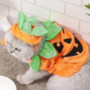 Cat Pumpkin Costume