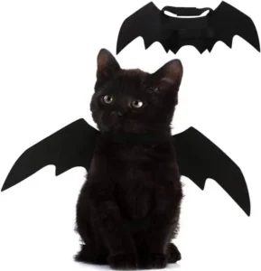 Pet Cat Bat Wings for Halloween
