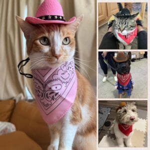 Pet Cowboy Costume, Dog Cowboy Hat with Bandana Scarf,