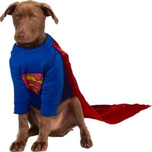 Superman Pet Costume