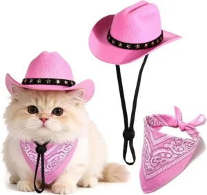 cat cowboy costume hat with bandana