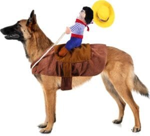 goyoswa dog cowboy costume