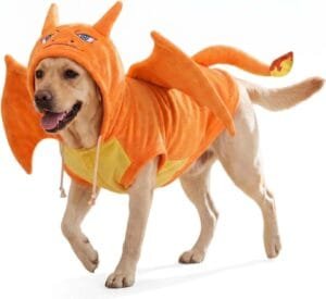 halloween dog wing of fire dragon