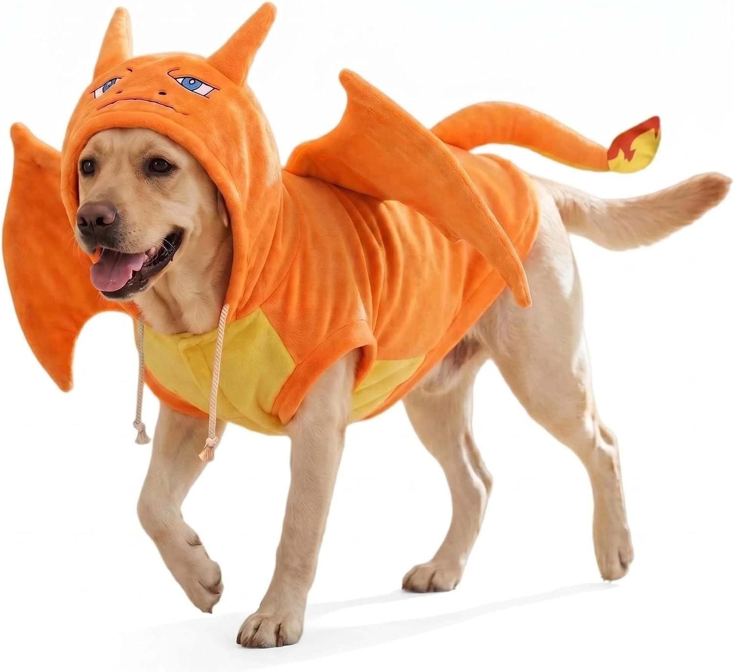 halloween dog wing of fire dragon