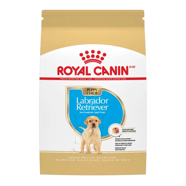 labrador-retriever-puppy-food-review