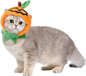 orange tabby cat wearing only a small soft plush pumpkin-shaped hat with elastic strap under the chin