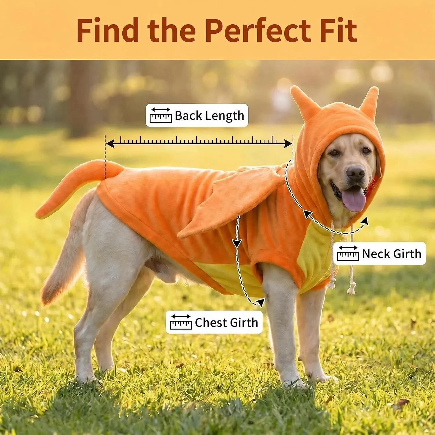 large-dog-dragon-costume-measuring-guide