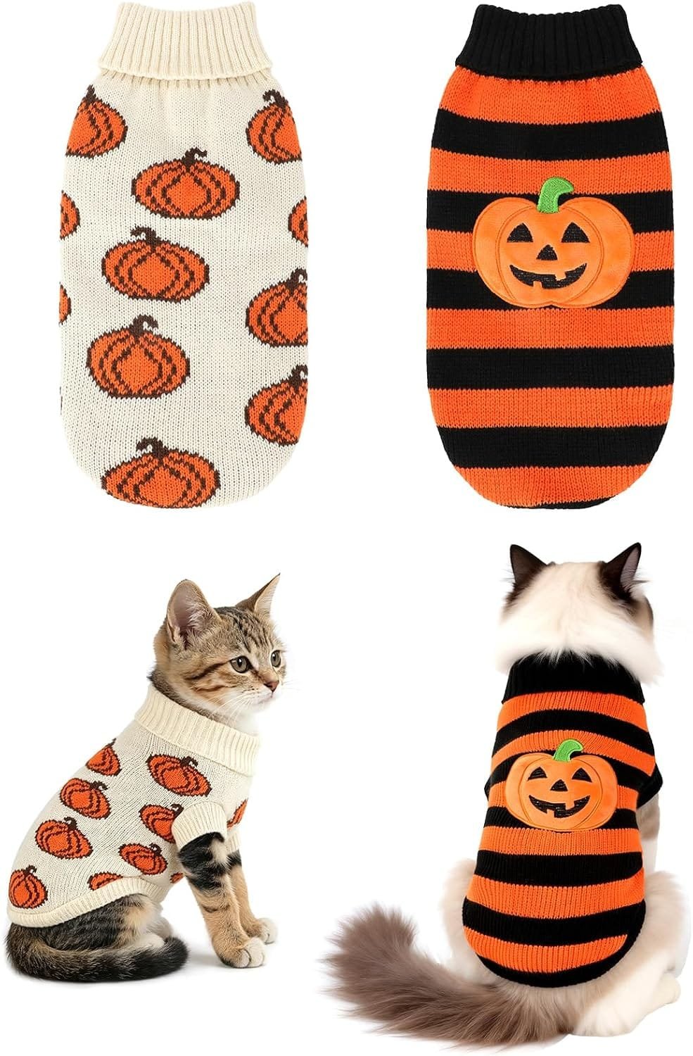 pumpkin cat sweater